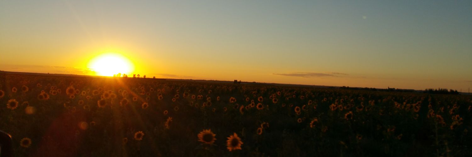 ele_lv_mp's profile banner image