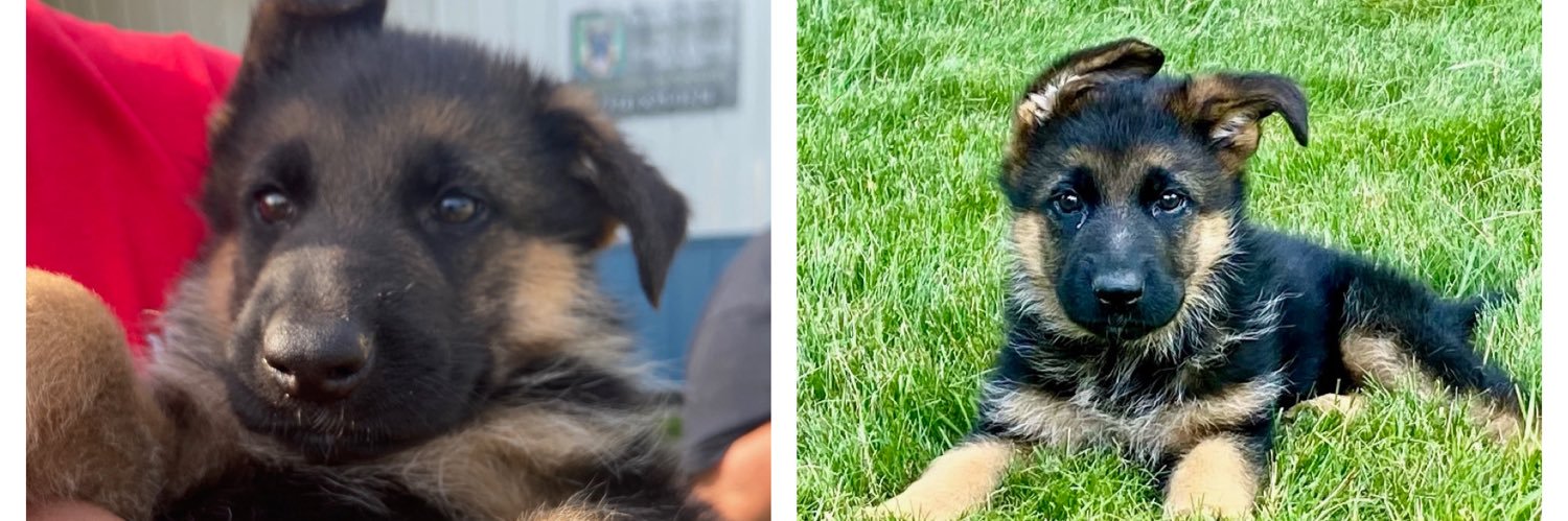 León Favede🇲🇽, MS, AT, ATC, ACSM-CPT banner