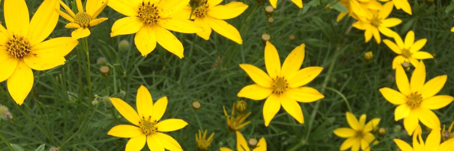 kyleighmengel's profile banner image