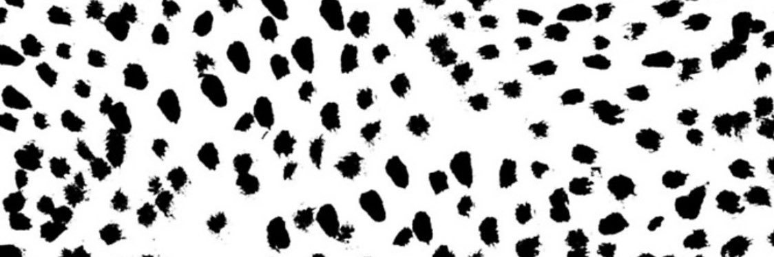 FalanBailey's profile banner image