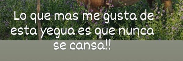 malospatrones Profile Banner