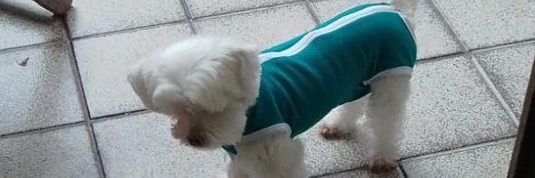• banner