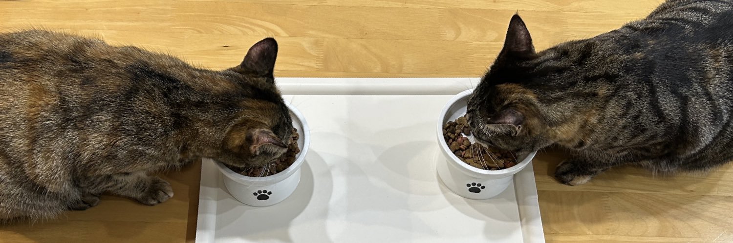 唯斗🐈‍⬛🐈 banner