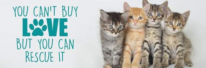 JeffersonSPCA's profile banner image
