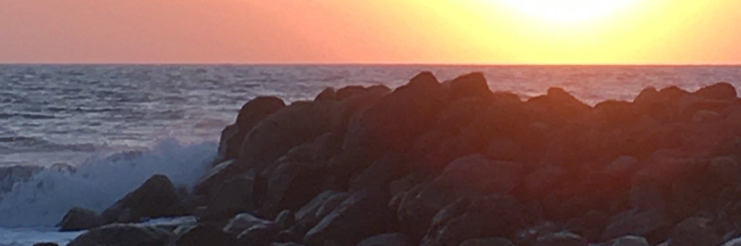 _laulozgen's profile banner image