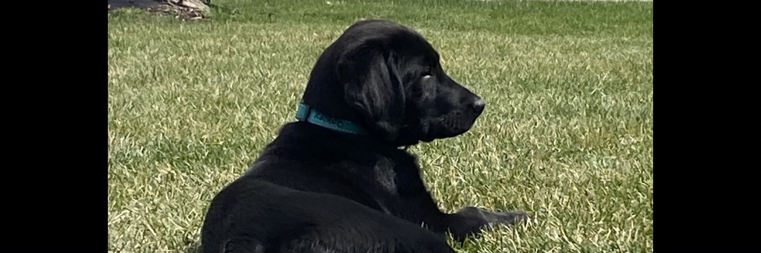 Starky65's profile banner image