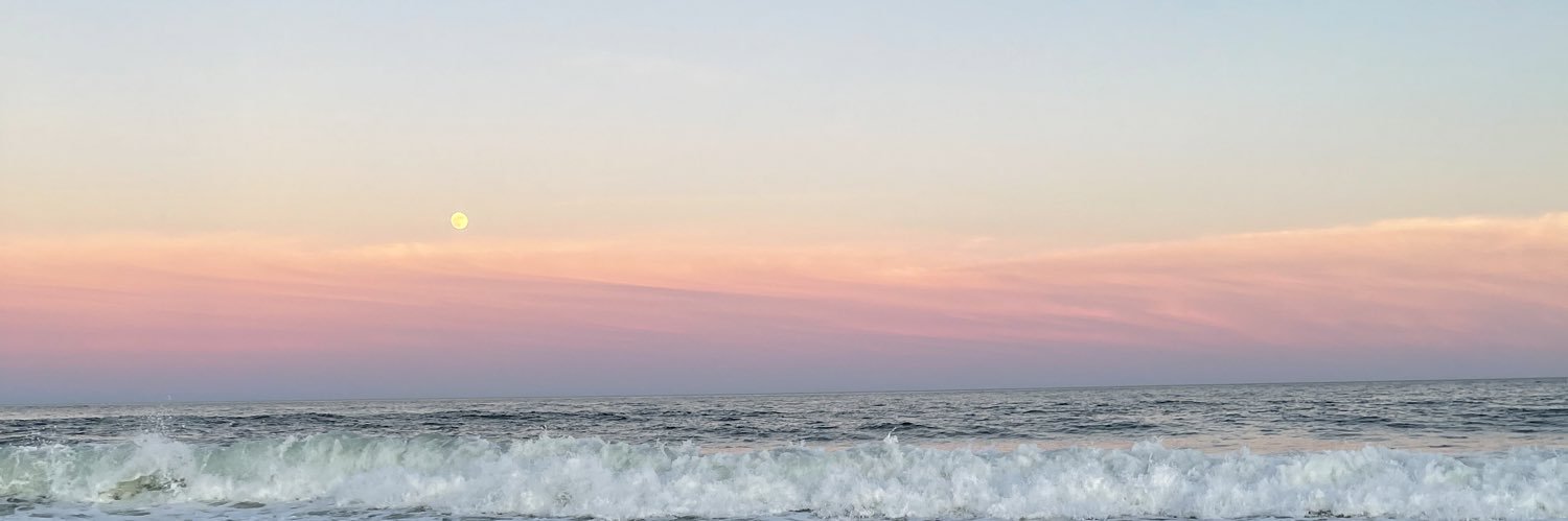 annaa_howard's profile banner image