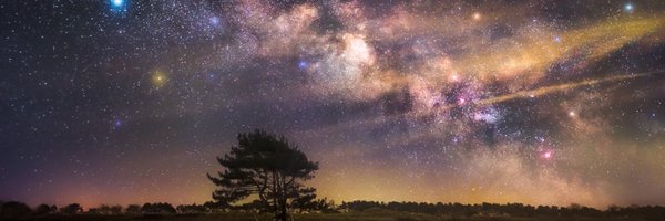 Matt_Malone_Lee Profile Banner