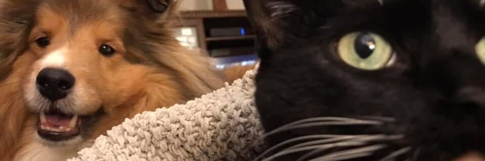 Marifran Smith 🪷 banner