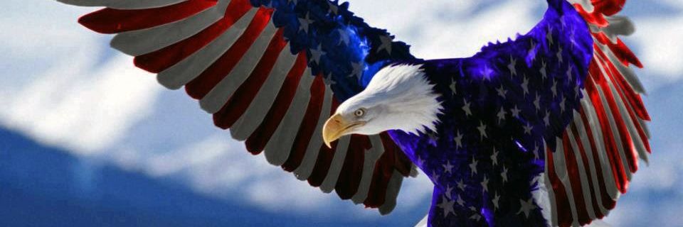 Ckirkusa's profile banner image