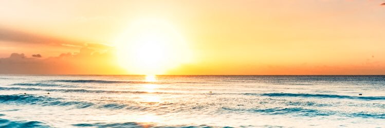 thaliahernandz's profile banner image
