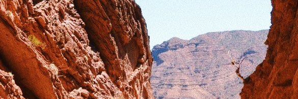 MLujanMartinez's profile banner image