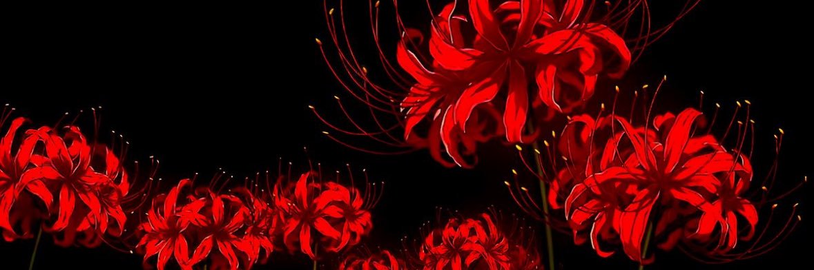 _amandaabf's profile banner image