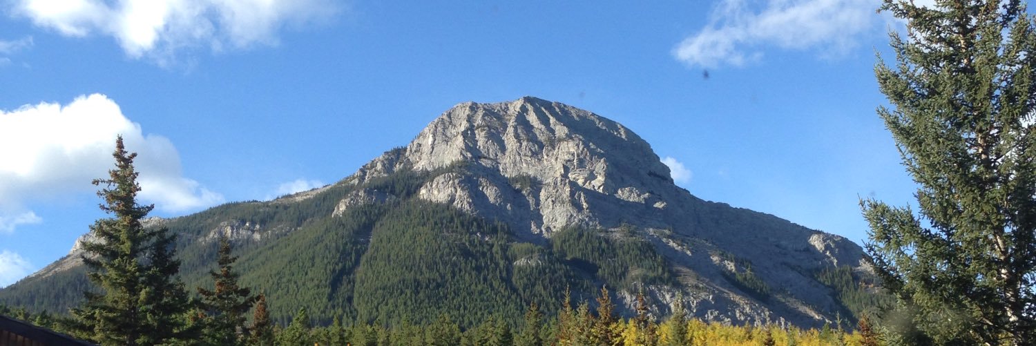 Lindsey Langs banner