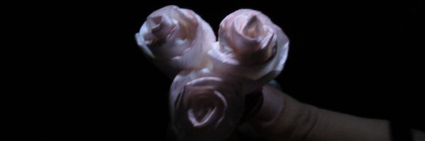 devyneschirr's profile banner image