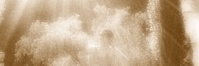 natalyelva's profile banner image