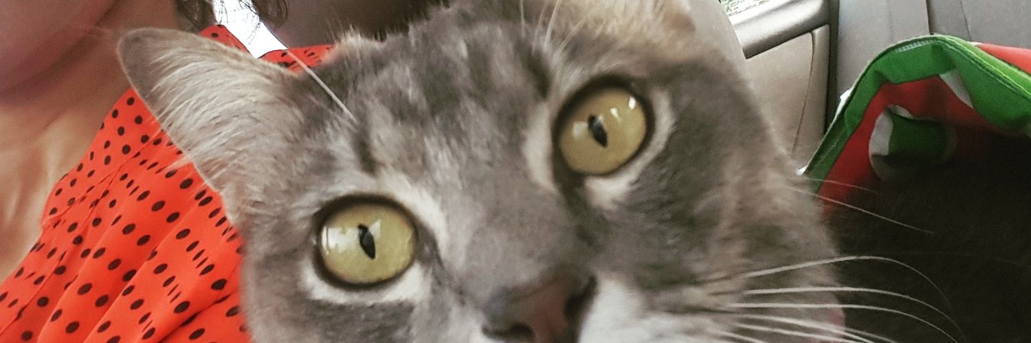 jesstancha's profile banner image