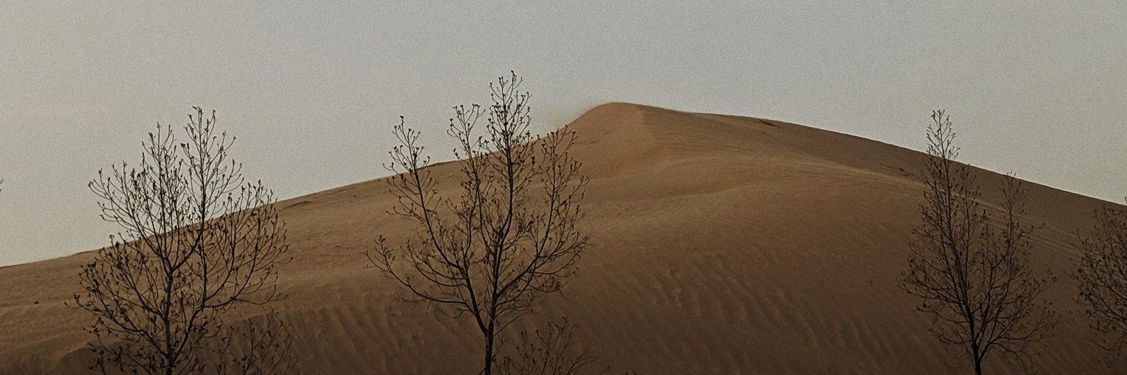 kundolss's profile banner image