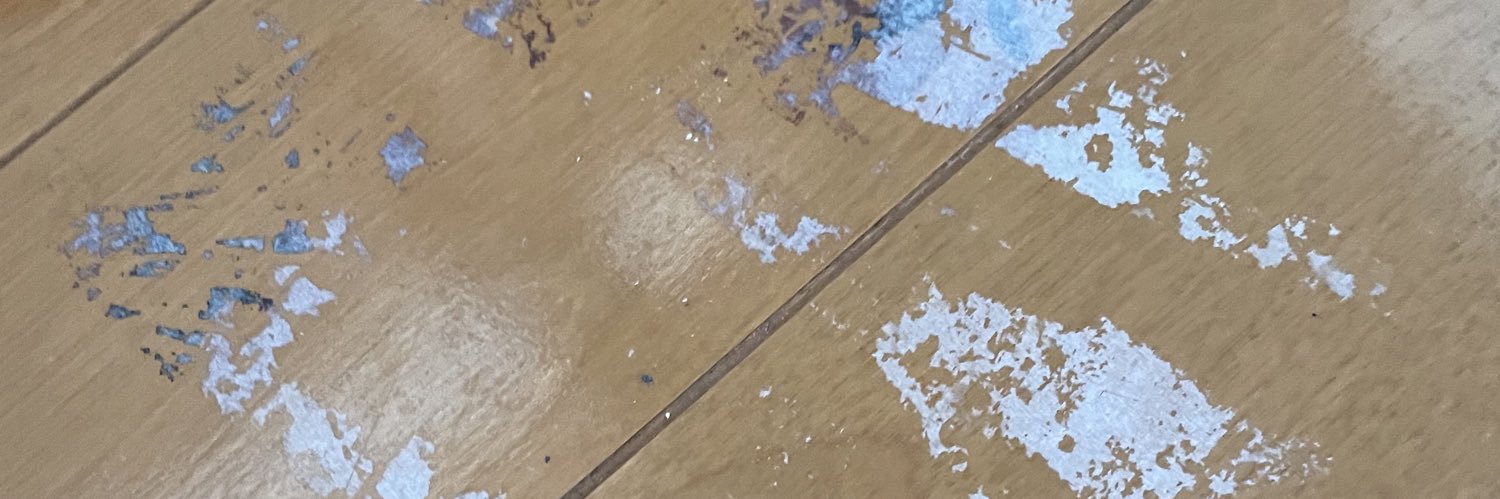 DayGDAISY's profile banner image