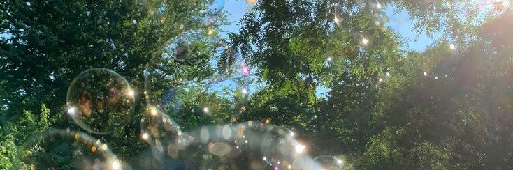 mallorybraneff's profile banner image