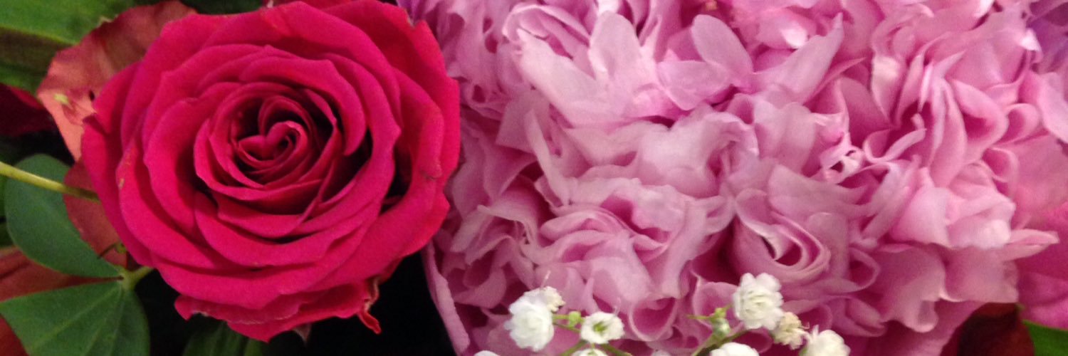 mrrrbeth's profile banner image