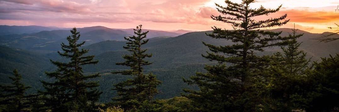 vic_woods's profile banner image