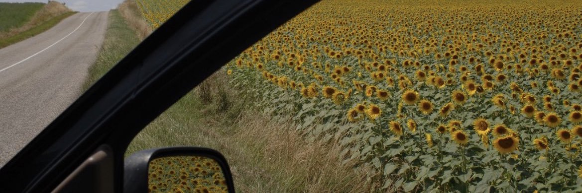 Lindsey_Raw's profile banner image