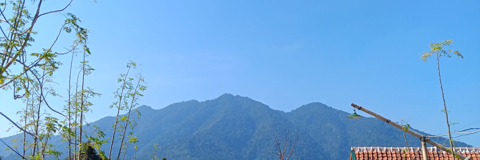 kucingbalon's profile banner image