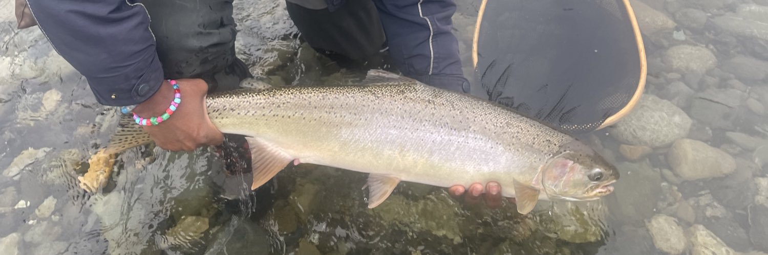 🦉Rufus McIntyre🪶 banner