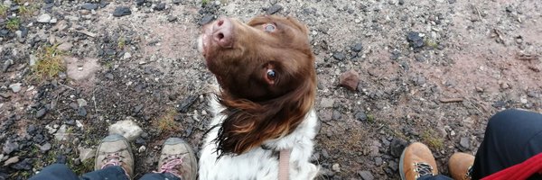 ceribattle Profile Banner