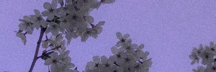 2__soda's profile banner image