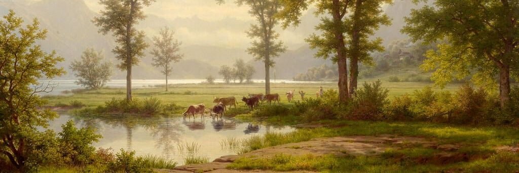 deiber_ch's profile banner image