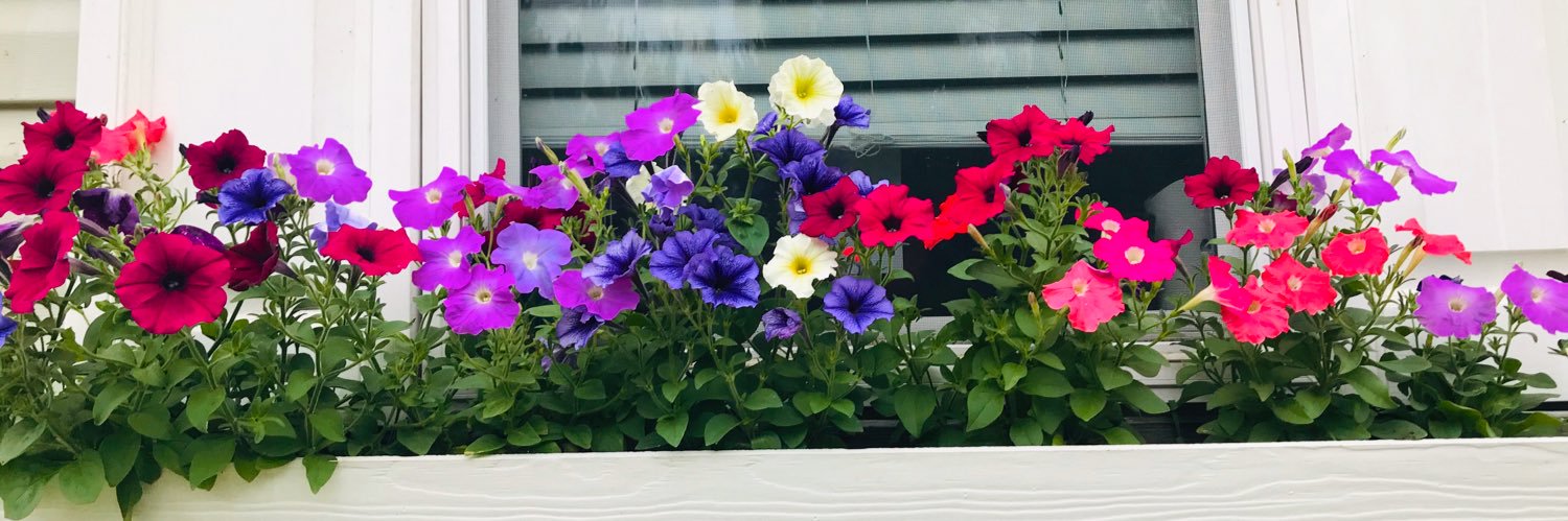 Chellemurphy24's profile banner image
