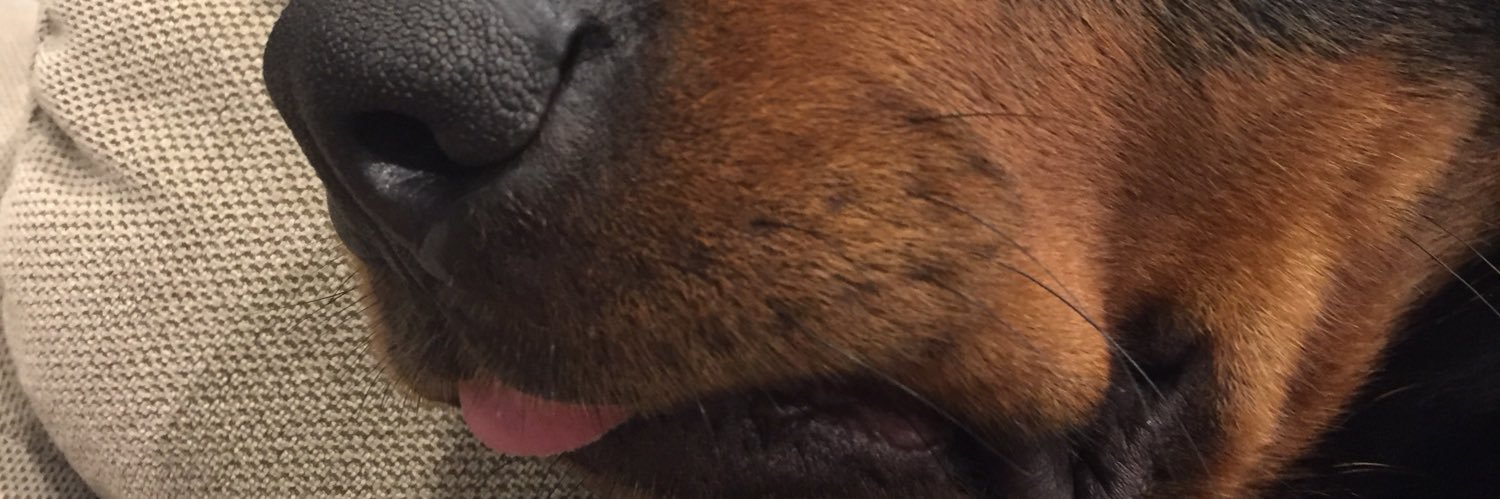 a_schille7's profile banner image