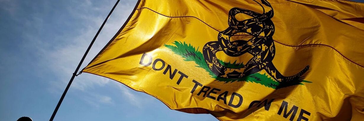 Dave Libertario banner