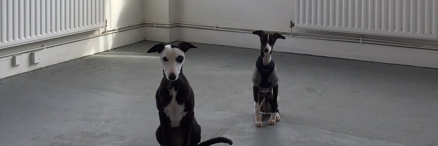 V22 Workspace banner