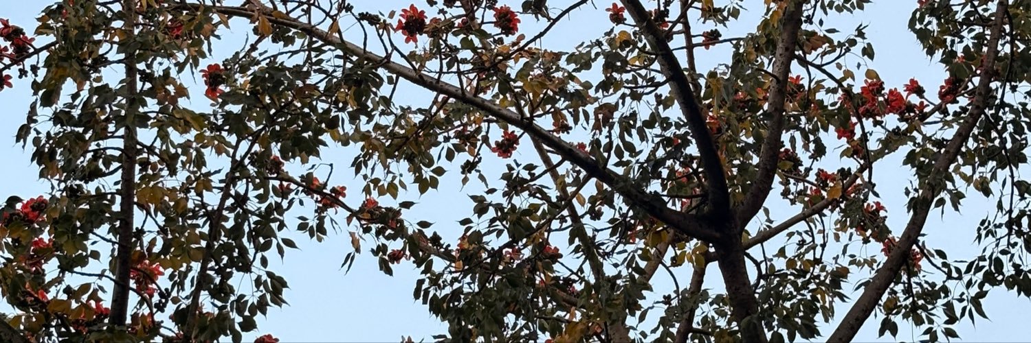 manfrinatomari's profile banner image