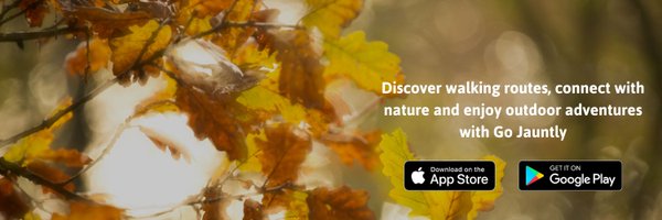 gojauntly Profile Banner