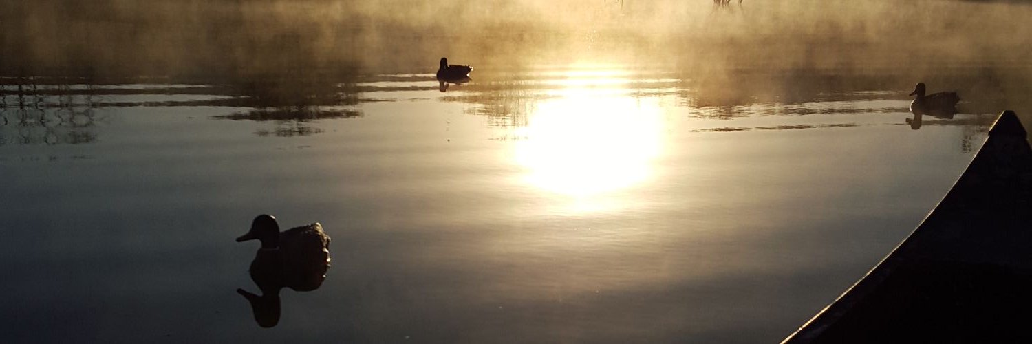 nc_newman's profile banner image