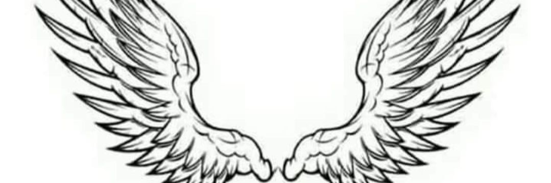 raniamohy35's profile banner image