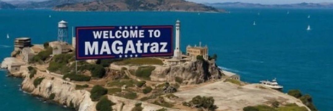 Who Knew ?👇🍊🍊 banner