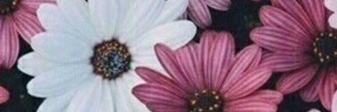 _gloooriaaa's profile banner image