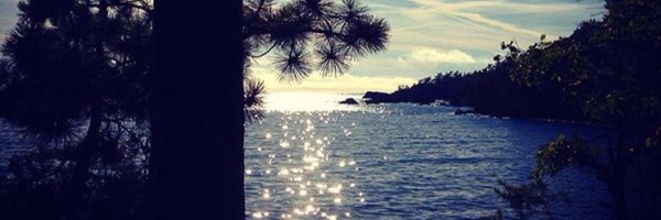 candidginger Profile Banner