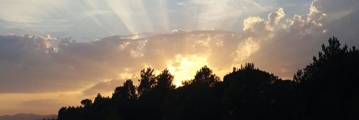 Richardluna15's profile banner image