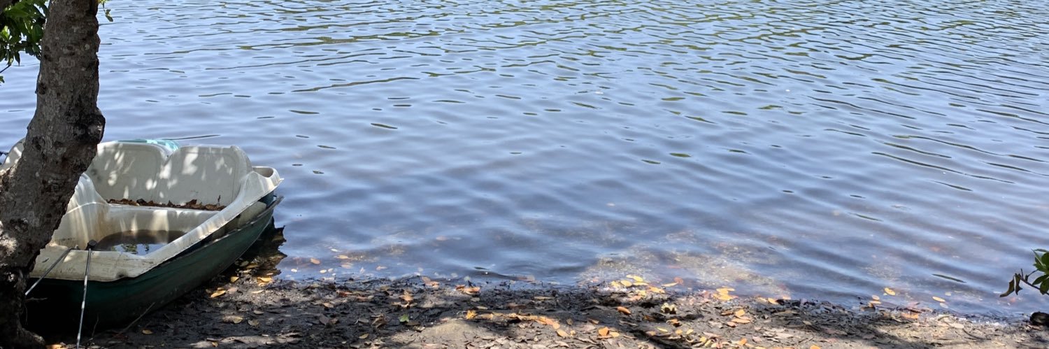 acomeriver's profile banner image