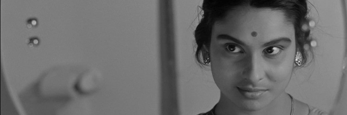 Sam Van Hallgren banner