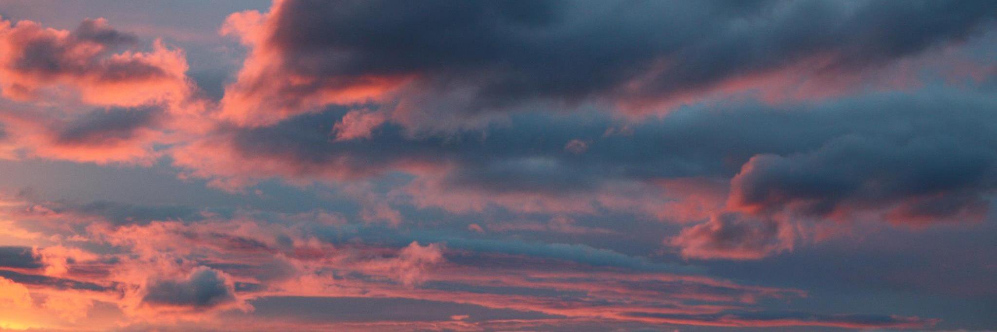 Tanja Mueller banner