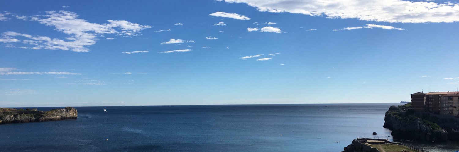 ml_rinaudo's profile banner image
