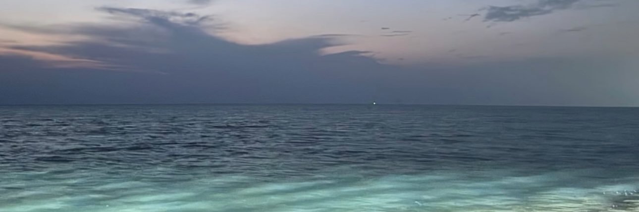 uiixl11's profile banner image
