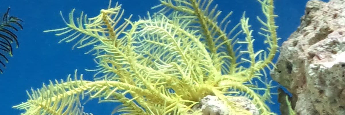 idole834's profile banner image